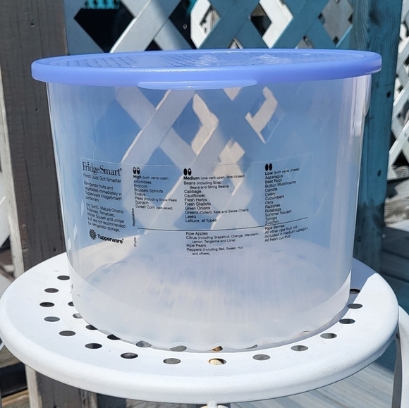 Tupperware Other - Large Tupperware Fridge Smart Fruit & Veggie Sheer Container with Lid